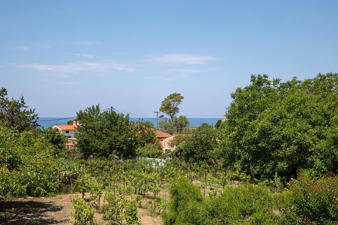 Irini Apartments And Studios Ájos Górdios Eksteriør bilde